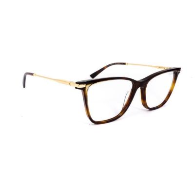 Armação Ana Hickmann AH60006 G21