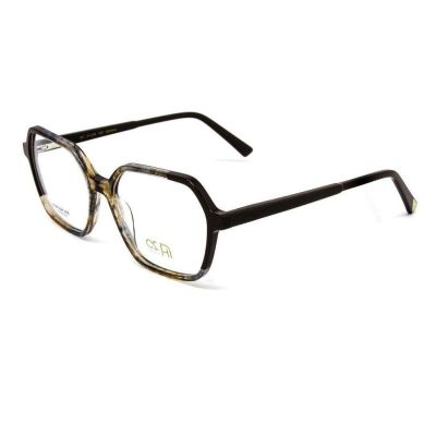 Armação Ana Hickmann AH60025 G01