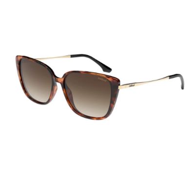 Óculos Solar Colcci C0223F4734